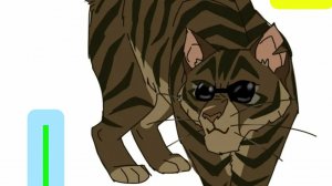 Коты воители Звездоцап клип "Я как Федерико Феллини"