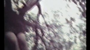 1969 год. Река Фарс и мосты в Дондуковской