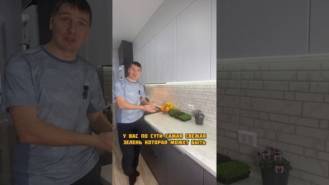 Как хранить микрозелень