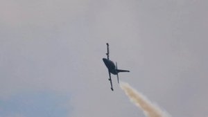 «Роза ветров»