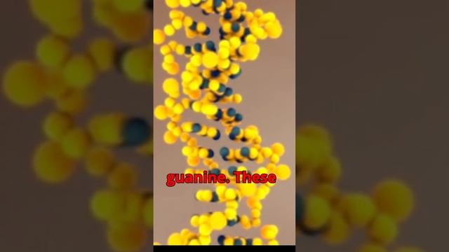 Video Title: What is DNA and How Does It Work? | Explained in 1 Minute #nature #dna #science смотреть онлайн