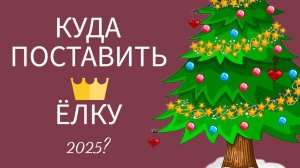 КУДА ПОСТАВИТЬ ЁЛКУ 2024-2025?