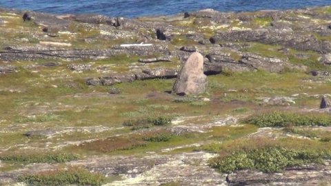 Архипелаг Кузова