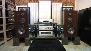 Diatone DS-1000Z