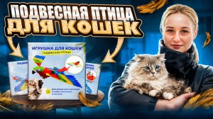 НЕОБЫЧНЫЕ ИГРУШКИ ДЛЯ КОШЕК|Интерактивный попугай для кошек