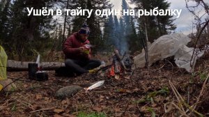 Ушёл в тайгу один за хариусом