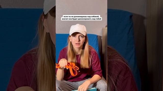 Тот самый кинолог-доминант с твоей собачьей площадки