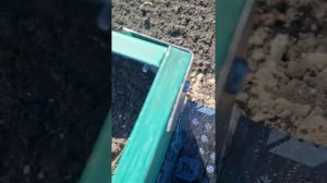Как сделать дорожки между грядок,быстро и просто!нет травы и грязи!