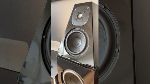 First Watt f5 Turbo wilson Audio Watt puppy 5.1