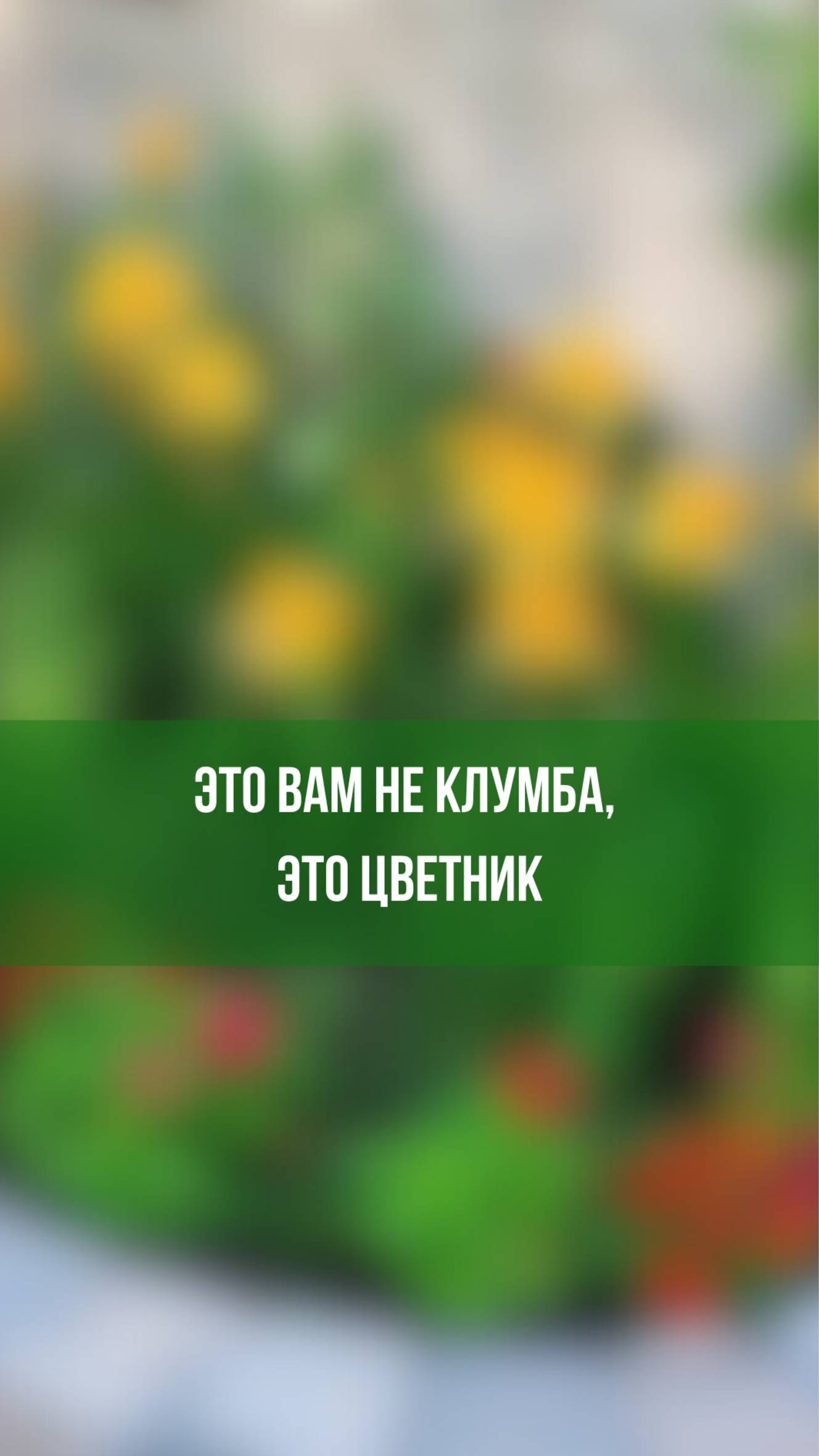 Это вам не клумба, это цветник