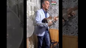 Рузимати Понгози / Ruzimati Pongozi // аз сари бозор гузар ширбадан /muzik 2021