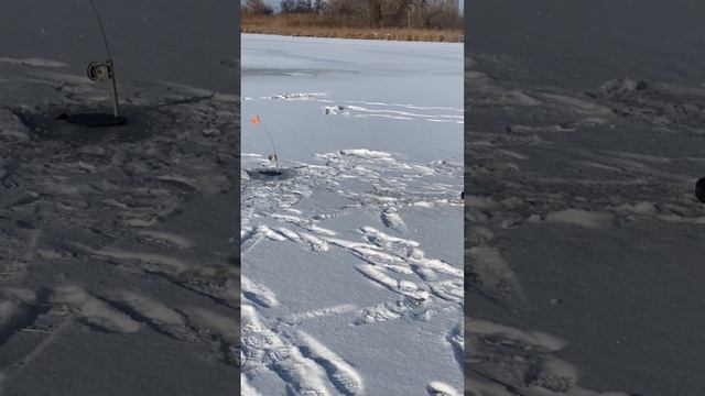 Щука на жерлицы в -20 . Первый лед 🧊 , провалился рыбачек . Бережіть себе рибаки ✊😎. Архів 2021 смотреть онлайн