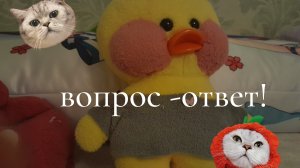Вопрос-ответ💋отвечаю на вопросы подписчиков