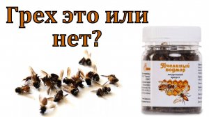 Ответ на вопрос. Пчелиный подмор: грех или нет? Н. Оскаленко. МСЦ ЕХБ