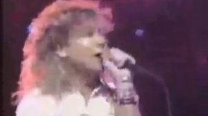 Led Zeppelin - Kashmir (Live 1988)