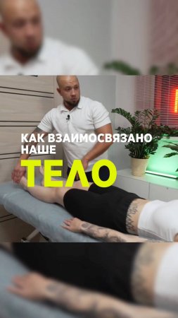 Связь с телом. Как наше тело взаимосвязано