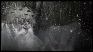 Александр Розенбаум - Вещая судьба.
