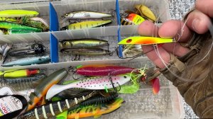 Один день на рыбалке. Ловля рыбы в лиманах