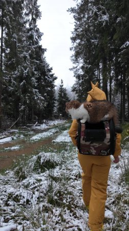 Мы всегда находим приключения.