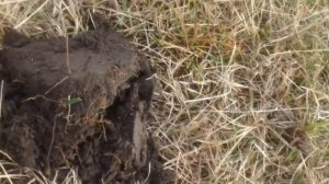 коп в Чечне где стояла танковая девизия