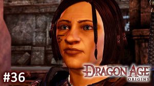Dragon Age Origins ► В поисках Хартии ► Прохождение за Мага #36