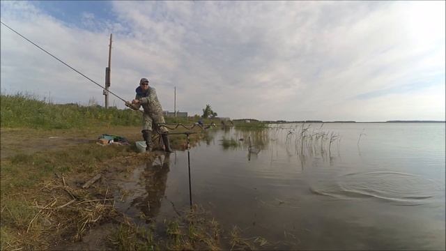 Ловля карася в Еткульском р-не Челябинской области в июне 2017