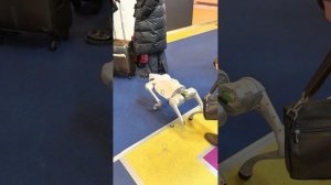 Выставка Мебели 2024год Москва Экспоцентр