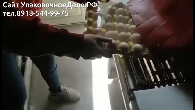 Автоматическая упаковочная машина для яиц
