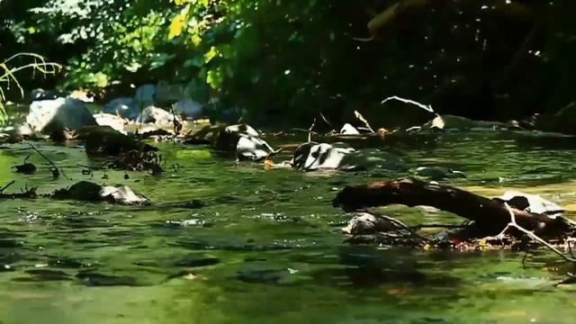 🍀🍀🍀relax mind body 5 minit.relax with water sound. rupor kaathi 🍀🍀🍀