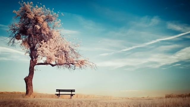 Целебная музыка для медитации Тамбура - Горловая чакра, Звуки Таанпуры