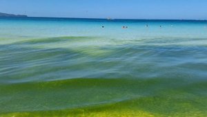 #боракай как  цветёт море