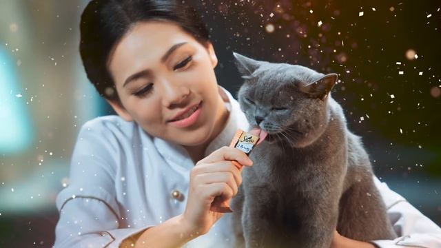 Sheba® Melty смотреть онлайн