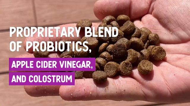 Health Extension Grain Free Chicken & Turkey Recipe смотреть онлайн