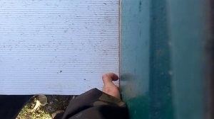 Результат пролива пчёл щавелевой кислотой