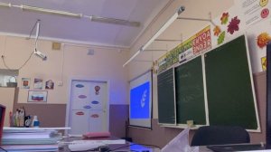 лиственные и хвойные