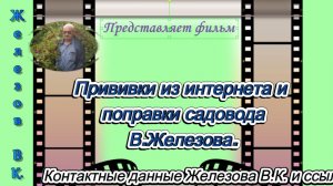 Прививки из интернета и поправки садовода В.Железова.