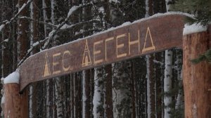 Инициатива в парке. ТК «Первый Советский»