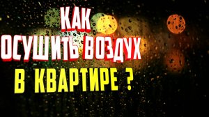 Как осушить воздух в квартире