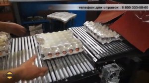 Упаковка яиц - упаковочная машина ТМ-2А