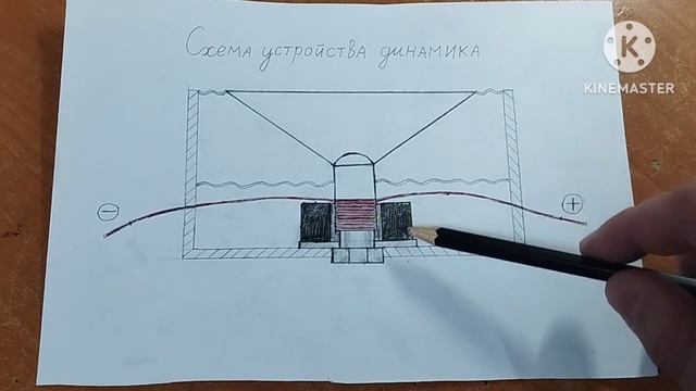 Устройство динамика