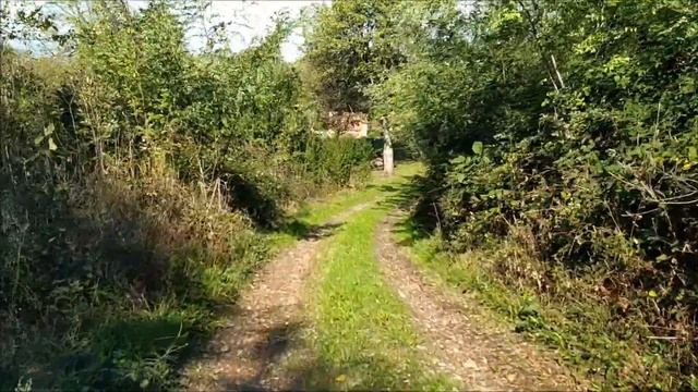 Dobra Voda sokaci смотреть онлайн