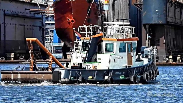 Peilfahrt LEDA PF3470 MMSI 244660537 tug sounds fairway for conveyance SPIRIT of ADVENTURE смотреть онлайн