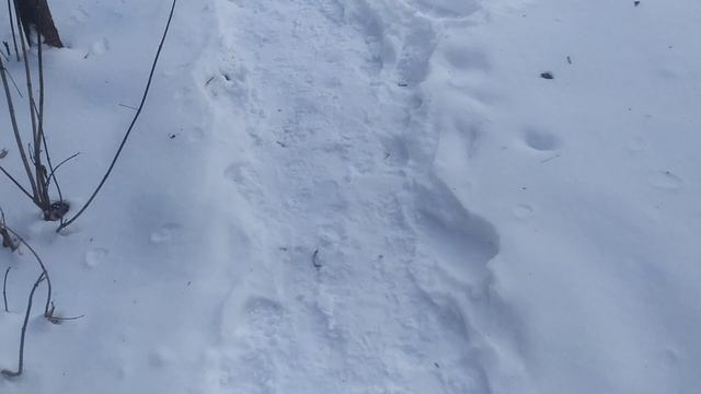 VID_20241121_112629.mp4 смотреть онлайн