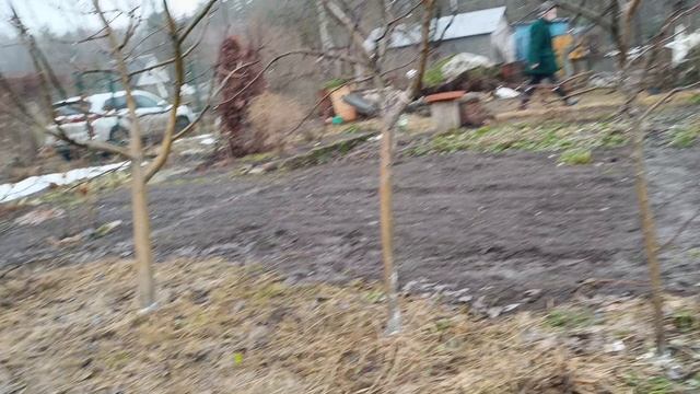 Светкинский ботанический сад. Ждём тепла. 2024/2