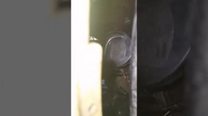 Установка Птф линзы на Daewoo Matiz, от газели