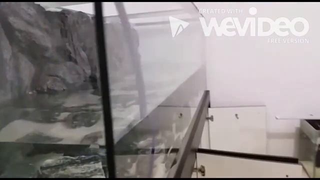 AulonoHaps Bio Aquarium смотреть онлайн