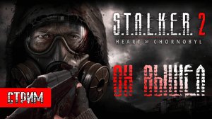 Обзор S.T.A.L.K.E.R. 2: Сердце Чернобыля | СТРИМ