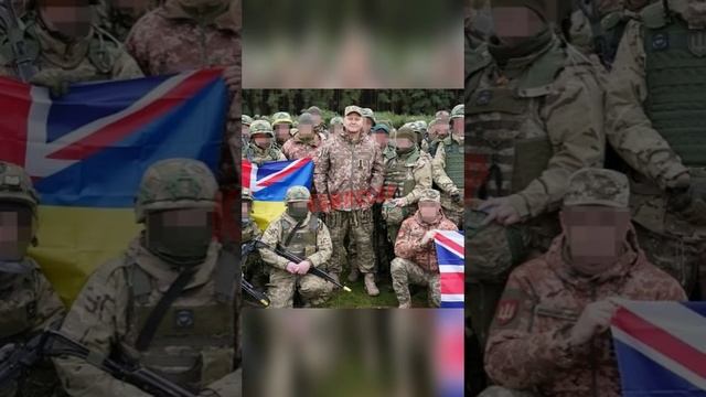 Залужный признался, что у боевиков ВСУ практически нет шансов выжить на фронте