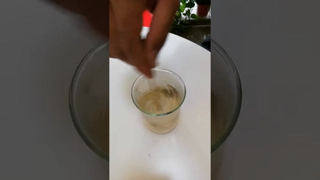 100% Water Soluble Resveratrol Video смотреть онлайн