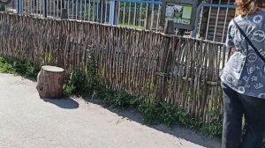 Прогулка по Старооскольскому зоопарку.